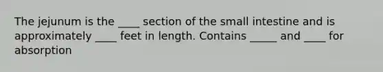 The jejunum is the ____ section of the small intestine and is approximately ____ feet in length. Contains _____ and ____ for absorption