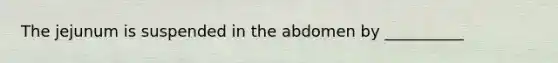 The jejunum is suspended in the abdomen by __________