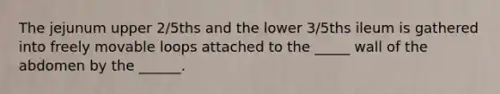 The jejunum upper 2/5ths and the lower 3/5ths ileum is gathered into freely movable loops attached to the _____ wall of the abdomen by the ______.