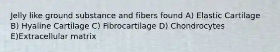 Jelly like ground substance and fibers found A) Elastic Cartilage B) Hyaline Cartilage C) Fibrocartilage D) Chondrocytes E)Extracellular matrix