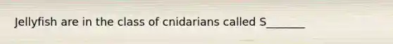 Jellyfish are in the class of cnidarians called S_______