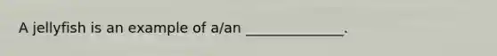 A jellyfish is an example of a/an ______________.