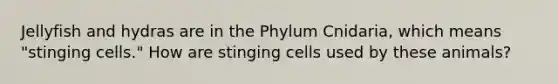 Jellyfish and hydras are in the Phylum Cnidaria, which means "stinging cells." How are stinging cells used by these animals?