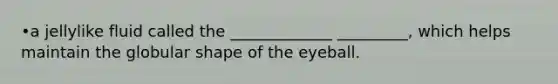 •a jellylike fluid called the _____________ _________, which helps maintain the globular shape of the eyeball.