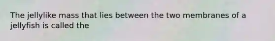 The jellylike mass that lies between the two membranes of a jellyfish is called the