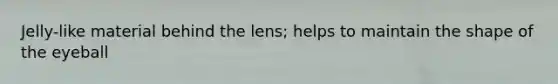 Jelly-like material behind the lens; helps to maintain the shape of the eyeball