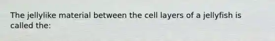 The jellylike material between the cell layers of a jellyfish is called the: