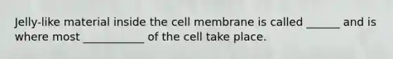 Jelly-like material inside the cell membrane is called ______ and is where most ___________ of the cell take place.