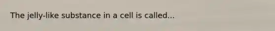 The jelly-like substance in a cell is called...