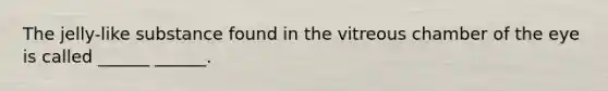 The jelly-like substance found in the vitreous chamber of the eye is called ______ ______.