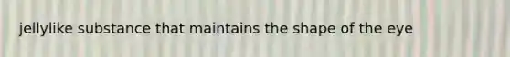 jellylike substance that maintains the shape of the eye