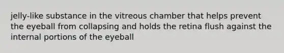 jelly-like substance in the vitreous chamber that helps prevent the eyeball from collapsing and holds the retina flush against the internal portions of the eyeball