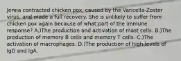 Jenna contracted chicken pox, caused by the Varicella-Zoster virus, and made a full recovery. She is unlikely to suffer from chicken pox again because of what part of the immune response? A.)The production and activation of mast cells. B.)The production of memory B cells and memory T cells. C.)The activation of macrophages. D.)The production of high levels of IgD and IgA.