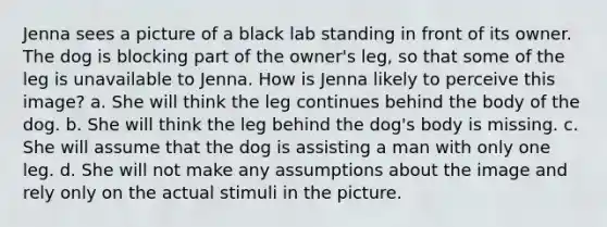 Jenna sees a picture of a black lab standing in front of its owner. The dog is blocking part of the owner's leg, so that some of the leg is unavailable to Jenna. How is Jenna likely to perceive this image? a. She will think the leg continues behind the body of the dog. b. She will think the leg behind the dog's body is missing. c. She will assume that the dog is assisting a man with only one leg. d. She will not make any assumptions about the image and rely only on the actual stimuli in the picture.