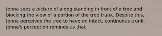 Jenna sees a picture of a dog standing in front of a tree and blocking the view of a portion of the tree trunk. Despite this, Jenna perceives the tree to have an intact, continuous trunk. Jenna's perception reminds us that