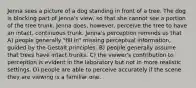 Jenna sees a picture of a dog standing in front of a tree. The dog is blocking part of Jenna's view, so that she cannot see a portion of the tree trunk. Jenna does, however, perceive the tree to have an intact, continuous trunk. Jenna's perception reminds us that A) people generally "fill in" missing perceptual information, guided by the Gestalt principles. B) people generally assume that trees have intact trunks. C) the viewer's contribution to perception is evident in the laboratory but not in more realistic settings. D) people are able to perceive accurately if the scene they are viewing is a familiar one.