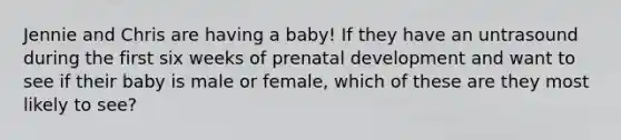 Jennie and Chris are having a baby! If they have an untrasound during the first six weeks of prenatal development and want to see if their baby is male or female, which of these are they most likely to see?