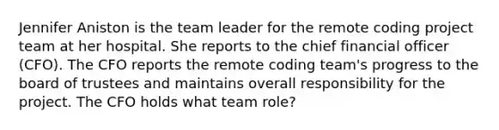 Jennifer Aniston is the team leader for the remote coding project team at her hospital. She reports to the chief financial officer (CFO). The CFO reports the remote coding team's progress to the board of trustees and maintains overall responsibility for the project. The CFO holds what team role?