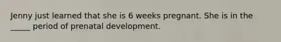 Jenny just learned that she is 6 weeks pregnant. She is in the _____ period of <a href='https://www.questionai.com/knowledge/kMumvNdQFH-prenatal-development' class='anchor-knowledge'>prenatal development</a>.