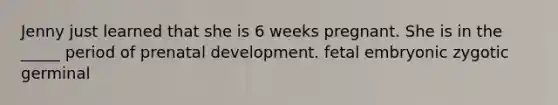 Jenny just learned that she is 6 weeks pregnant. She is in the _____ period of prenatal development. fetal embryonic zygotic germinal