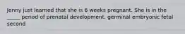 Jenny just learned that she is 6 weeks pregnant. She is in the _____ period of prenatal development. germinal embryonic fetal second