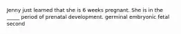 Jenny just learned that she is 6 weeks pregnant. She is in the _____ period of prenatal development. germinal embryonic fetal second