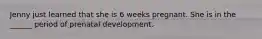 Jenny just learned that she is 6 weeks pregnant. She is in the ______ period of prenatal development.