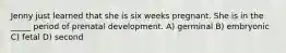 Jenny just learned that she is six weeks pregnant. She is in the _____ period of prenatal development. A) germinal B) embryonic C) fetal D) second