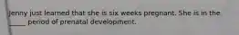 Jenny just learned that she is six weeks pregnant. She is in the _____ period of prenatal development.