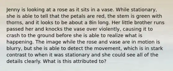 Jenny is looking at a rose as it sits in a vase. While stationary, she is able to tell that the petals are red, the stem is green with thorns, and it looks to be about a 8in long. Her little brother runs passed her and knocks the vase over violently, causing it to crash to the ground before she is able to realize what is happening. The image while the rose and vase are in motion is blurry, but she is able to detect the movement, which is in stark contrast to when it was stationary and she could see all of the details clearly. What is this attributed to?