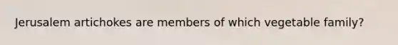 Jerusalem artichokes are members of which vegetable​ family?