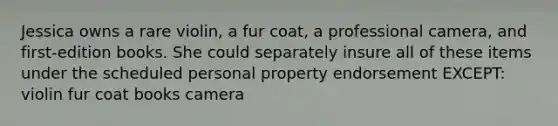 Jessica owns a rare violin, a fur coat, a professional camera, and first-edition books. She could separately insure all of these items under the scheduled personal property endorsement EXCEPT: violin fur coat books camera