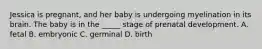 Jessica is pregnant, and her baby is undergoing myelination in its brain. The baby is in the _____ stage of prenatal development. A. fetal B. embryonic C. germinal D. birth