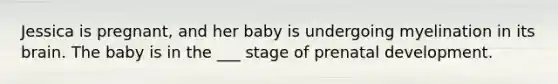 Jessica is pregnant, and her baby is undergoing myelination in its brain. The baby is in the ___ stage of prenatal development.