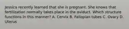 Jessica recently learned that she is pregnant. She knows that fertilization normally takes place in the oviduct. Which structure functions in this manner? A. Cervix B. Fallopian tubes C. Ovary D. Uterus