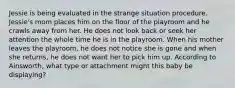 Jessie is being evaluated in the strange situation procedure. Jessie's mom places him on the floor of the playroom and he crawls away from her. He does not look back or seek her attention the whole time he is in the playroom. When his mother leaves the playroom, he does not notice she is gone and when she returns, he does not want her to pick him up. According to Ainsworth, what type or attachment might this baby be displaying?