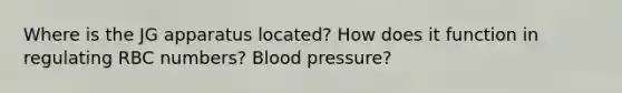 Where is the JG apparatus located? How does it function in regulating RBC numbers? Blood pressure?