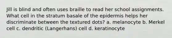 Jill is blind and often uses braille to read her school assignments. What cell in the stratum basale of the epidermis helps her discriminate between the textured dots? a. melanocyte b. Merkel cell c. dendritic (Langerhans) cell d. keratinocyte