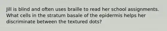 Jill is blind and often uses braille to read her school assignments. What cells in the stratum basale of the epidermis helps her discriminate between the textured dots?