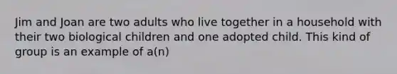 Jim and Joan are two adults who live together in a household with their two biological children and one adopted child. This kind of group is an example of a(n)