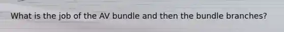 What is the job of the AV bundle and then the bundle branches?