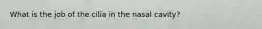 What is the job of the cilia in the nasal cavity?