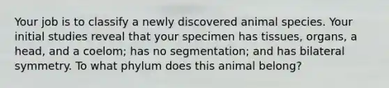 Your job is to classify a newly discovered animal species. Your initial studies reveal that your specimen has tissues, organs, a head, and a coelom; has no segmentation; and has bilateral symmetry. To what phylum does this animal belong?