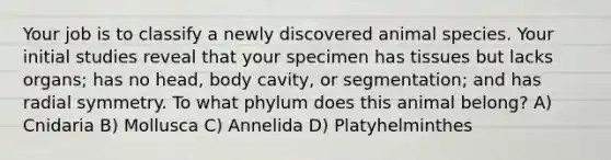 Your job is to classify a newly discovered animal species. Your initial studies reveal that your specimen has tissues but lacks organs; has no head, body cavity, or segmentation; and has radial symmetry. To what phylum does this animal belong? A) Cnidaria B) Mollusca C) Annelida D) Platyhelminthes