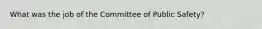 What was the job of the Committee of Public Safety?