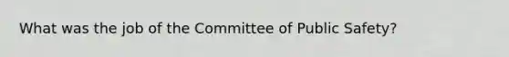 What was the job of the Committee of Public Safety?