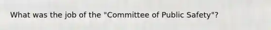 What was the job of the "Committee of Public Safety"?