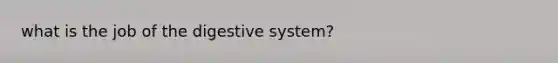 what is the job of the digestive system?