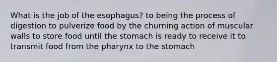 What is the job of <a href='https://www.questionai.com/knowledge/kSjVhaa9qF-the-esophagus' class='anchor-knowledge'>the esophagus</a>? to being the process of digestion to pulverize food by the churning action of muscular walls to store food until the stomach is ready to receive it to transmit food from <a href='https://www.questionai.com/knowledge/ktW97n6hGJ-the-pharynx' class='anchor-knowledge'>the pharynx</a> to the stomach