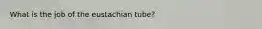 What is the job of the eustachian tube?